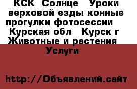 КСК “Солнце“. Уроки верховой езды,конные прогулки,фотосессии.  - Курская обл., Курск г. Животные и растения » Услуги   